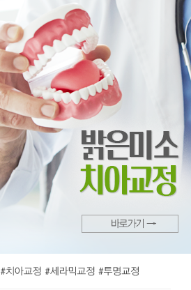 치아교정바로가기