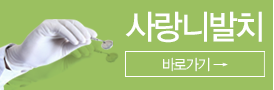 사랑니발치바로가기