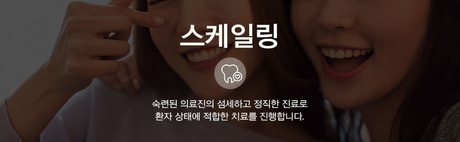 스케일링상단