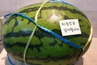 최충석님 감사합니다~^^